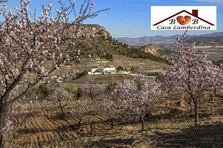 CASA LAMBERDINA · imagen de la fuente oficial